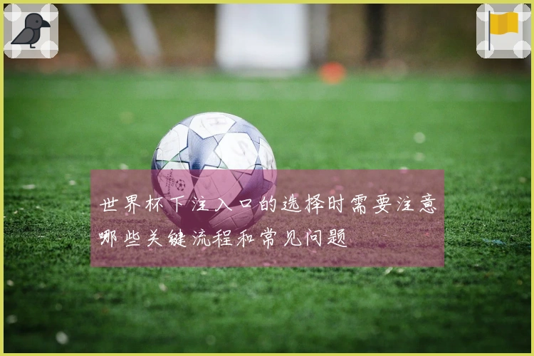 世界杯下注入口的选择时需要注意哪些关键流程和常见问题