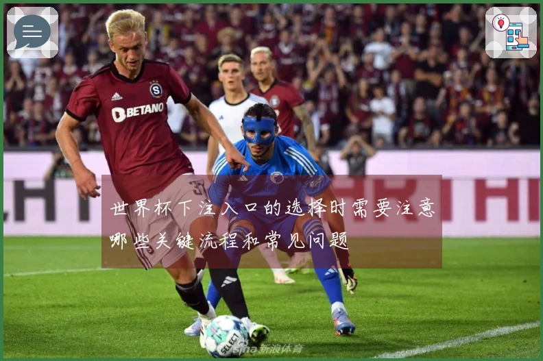 世界杯下注入口的选择时需要注意哪些关键流程和常见问题